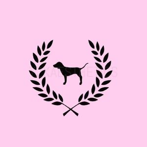 Victoria's Secret Pink RESELLERS Box